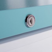 LEC Laboratory LSFSF98 Freezer LEC Laboratory LSFSF98 Freezer